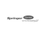 Springer-Carrier-1